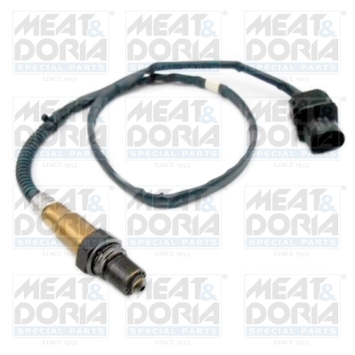 Oxygen Sensor